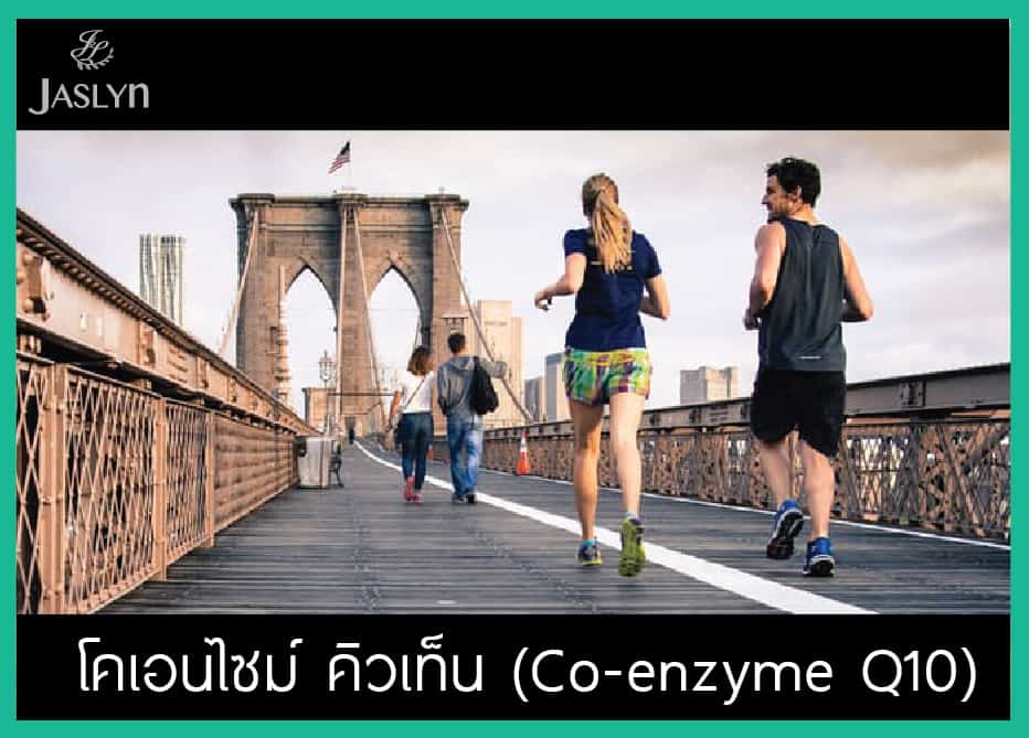 โคเอนไซม์ คิวเทน Co Q 10
